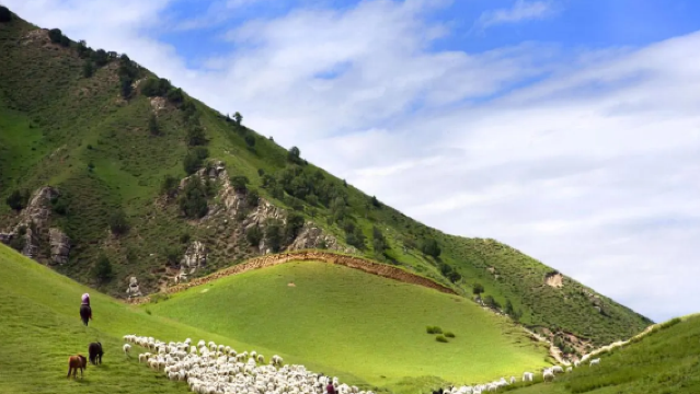 Dulan Hunting Ground