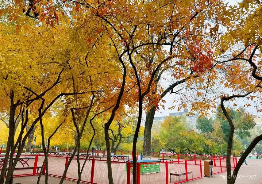 Zhiwu Park