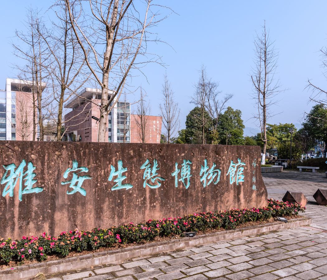 Ya'an Railway Station Area