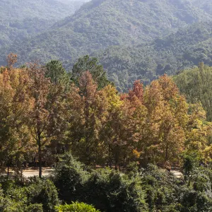 大欖郊野公園