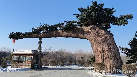 德惠市植物公園