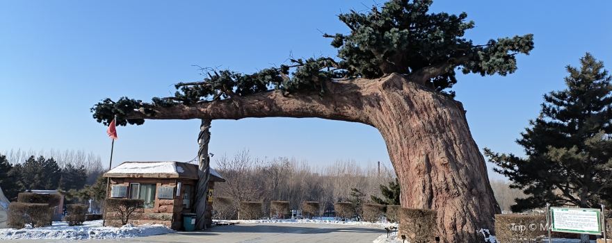 Dehui Botanical Garden