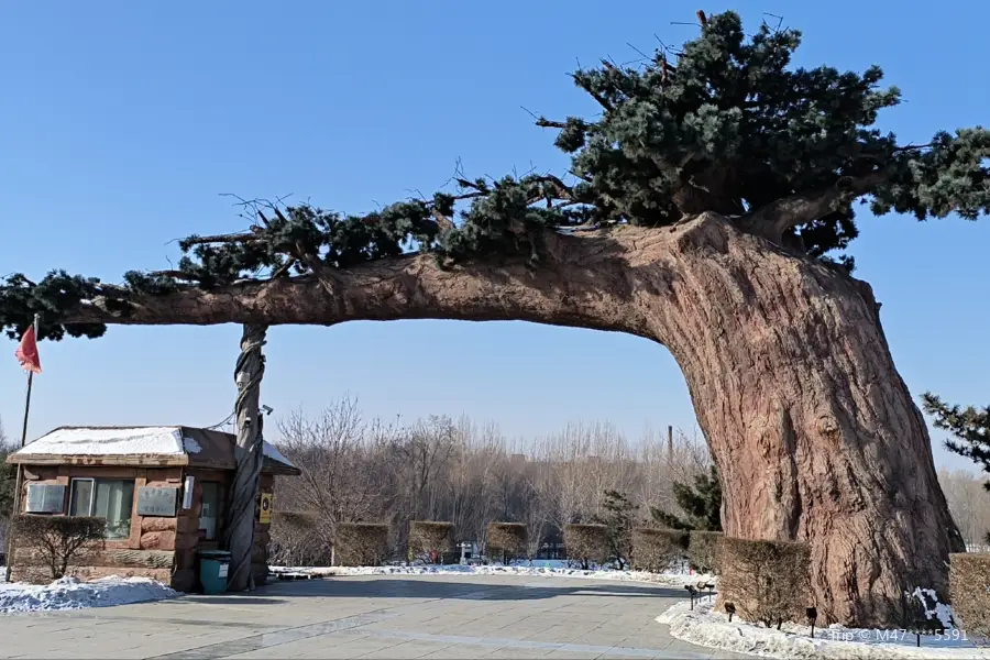 德惠市植物公園