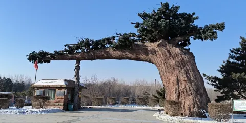 德惠市植物公園