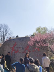 梅花山風景区