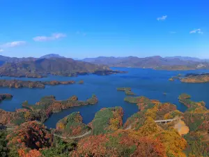 Mungyeong Omija Theme Tunnel