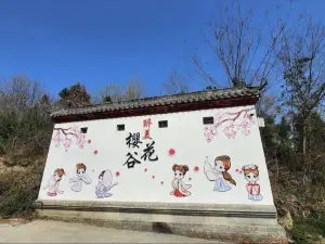 老君山櫻花谷