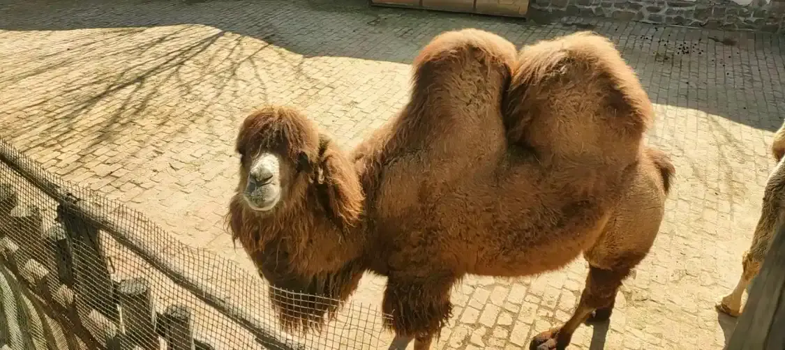 Hotels near Kuisheng Park