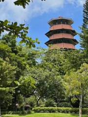 Aviary Pagoda