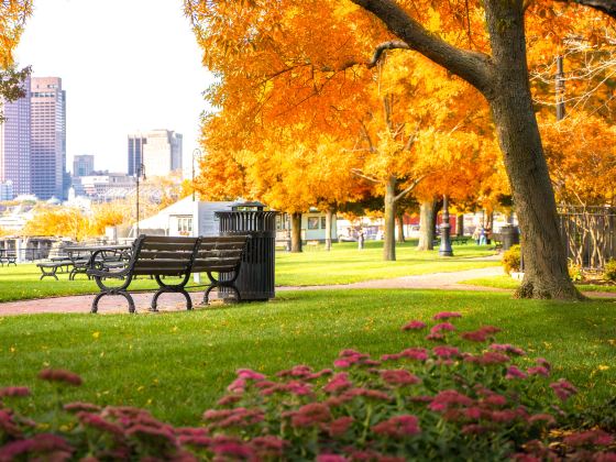 City Square Park