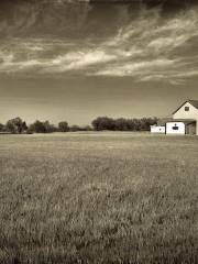 Cox Farm Wichita