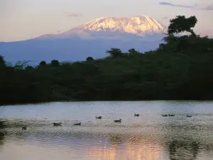 Arusha National Park