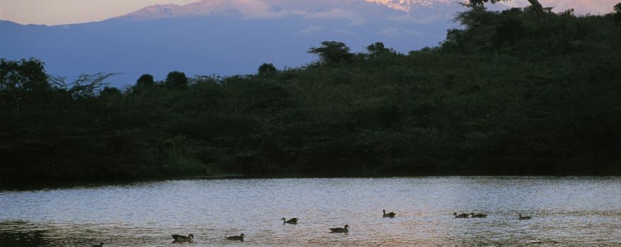 Arusha National Park