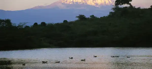 Hotels in Arumeru