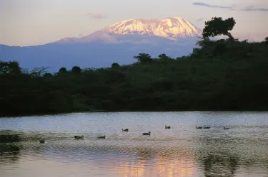 Arusha National Park