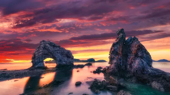 海王九島