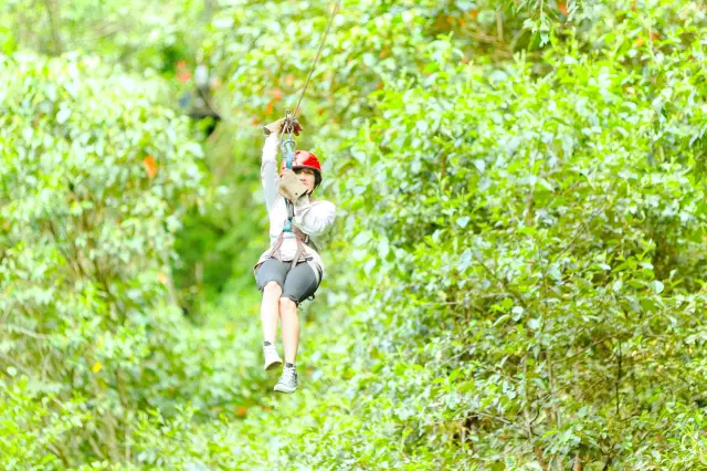 Jungle Ziplining in Phuket