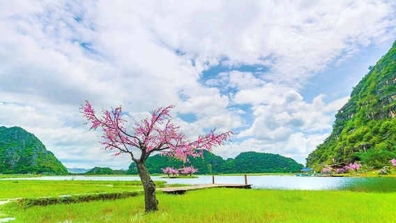 Jingbian Cauliflower Miao Ethnic Ecology Village