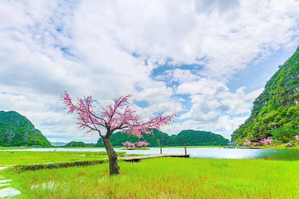 Caihuaqing