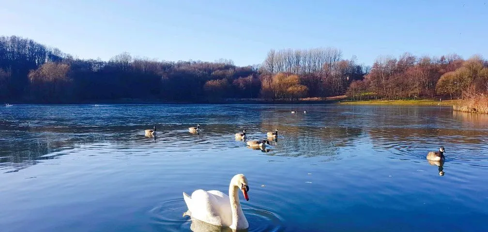 BoltonSports experiences