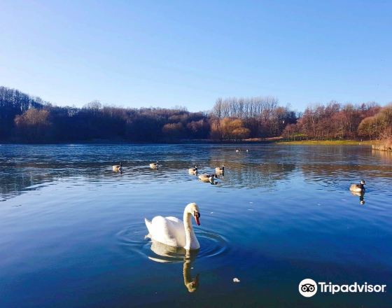 波頓 自由行套票