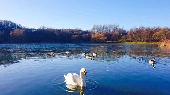 Moses Gate Country Park