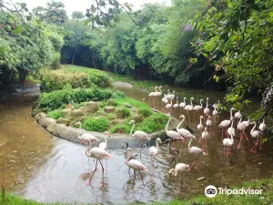 Zoo d'asson