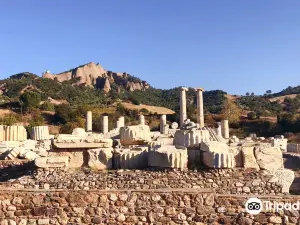 사데