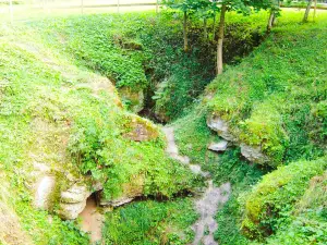 Cow Cave