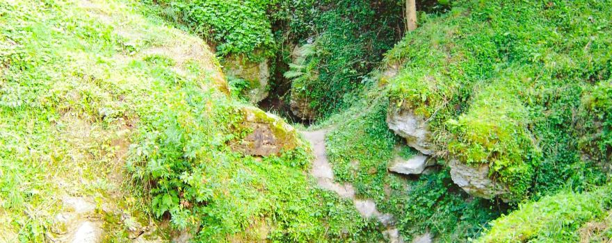 Cow Cave