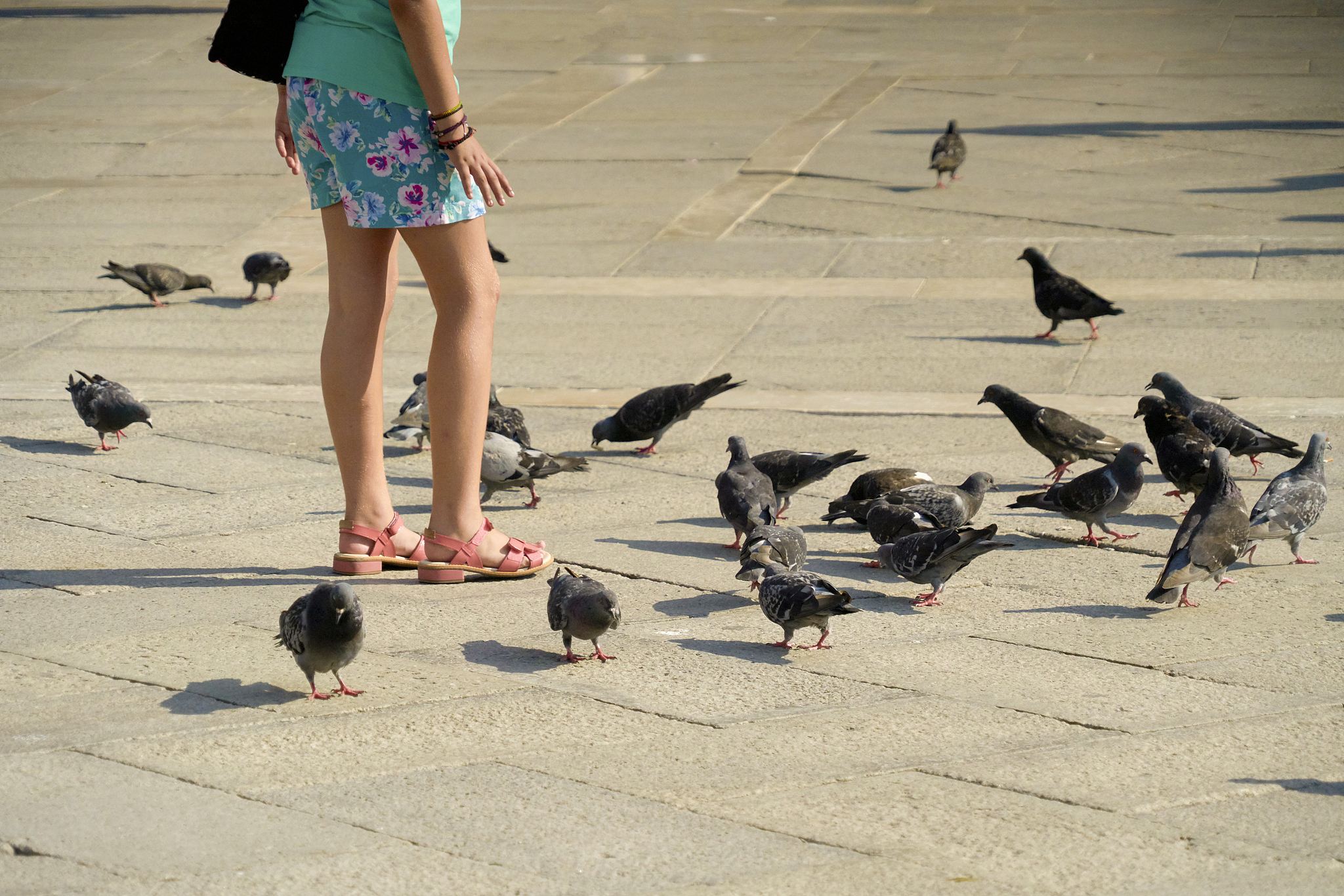 義大利威尼斯聖馬可廣場+總督宮+威尼斯美術學院+安康聖母聖殿