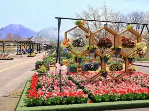 Tottori Hanakairo Flower Park