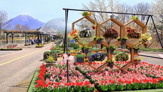 Tottori Hanakairo Flower Park