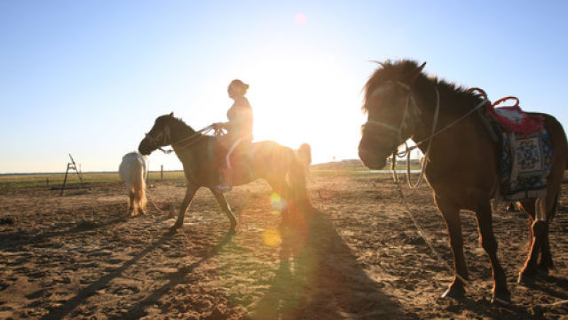 Horse and Camel Riding Experience Area