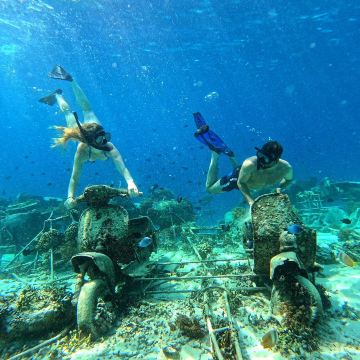 Snorkeling or Scuba Diving in Lombok