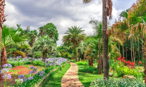 Kunming Botanical Garden