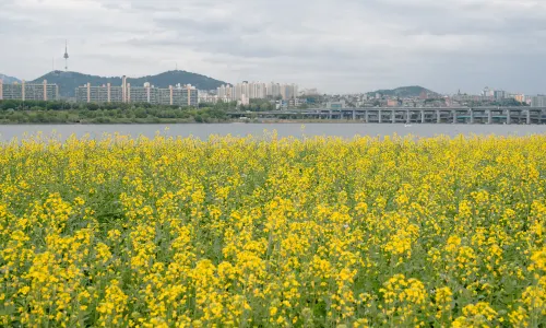 Banpo Hangang Park
