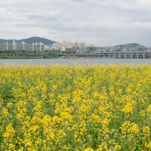 반포한강공원