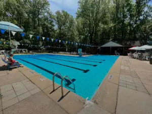 Darley Swim Club