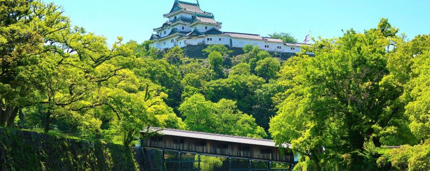 Château de Wakayama
