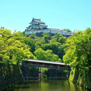 和歌山城