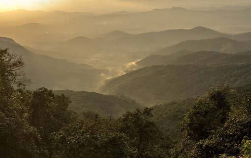 Amboli Waterfall