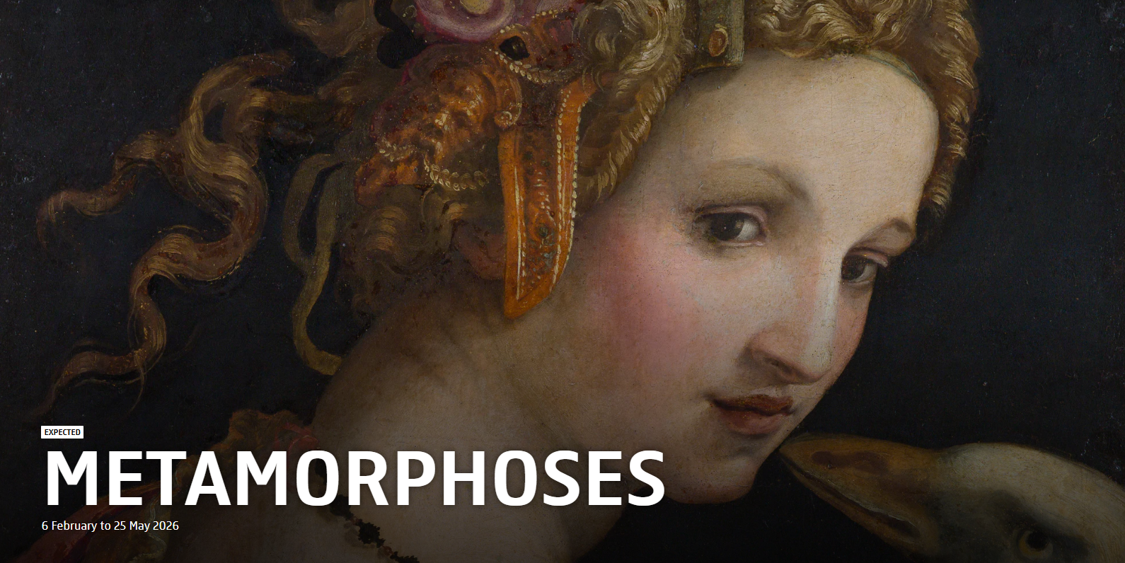 Metamorphoses | Rijksmuseum