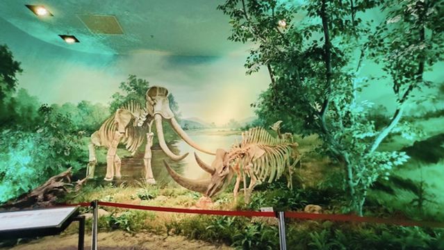 kai hua xian bo wu guan