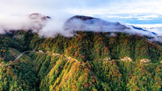 Leigong Mountain National Forest Park