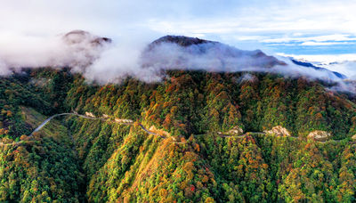 Leigong Mountain National Forest Park