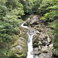 世界遺産ー屋久島