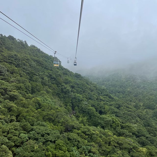 搭著纜車來一趟大嶼山仙境之旅 