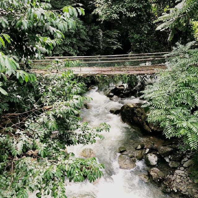 Poring Hotspring