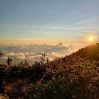 Mount Ijen